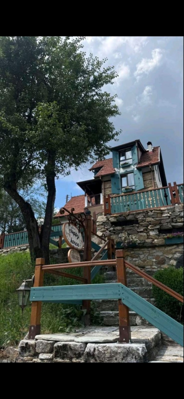 Входът и фасадата на Happy House в Проглед — каменни стъпала, зелени парапети и табелата на къщата